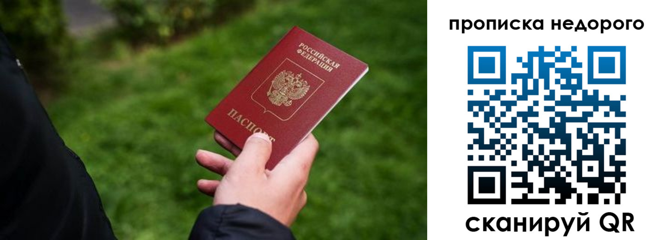временная регистрация поиск в Псковской области